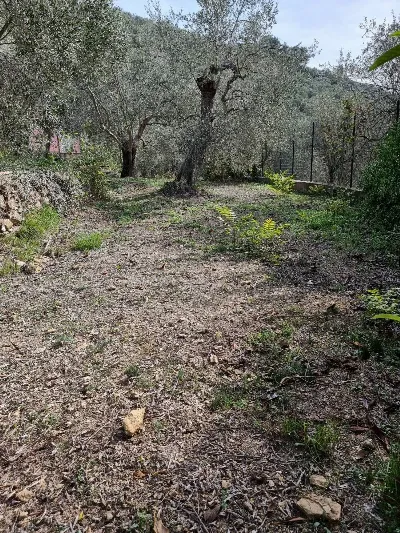 Villa in vendita a Imperia, Oneglia - foto 5