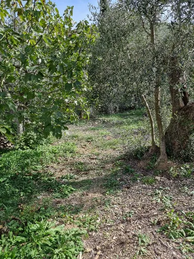 Villa in vendita a Imperia, Oneglia - foto 6