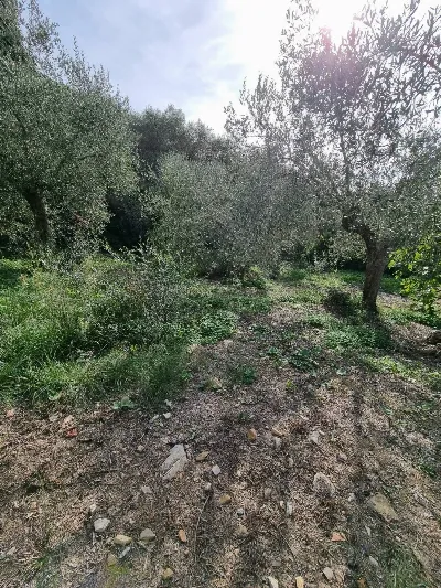 Villa in vendita a Imperia, Oneglia - foto 7