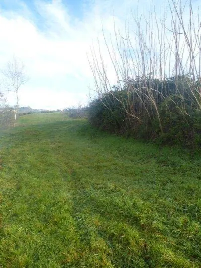 Rustico/Casale in vendita a Tortoreto - foto 2