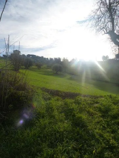 Rustico/Casale in vendita a Tortoreto - foto 3