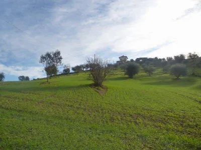 Rustico/Casale in vendita a Tortoreto - foto 4