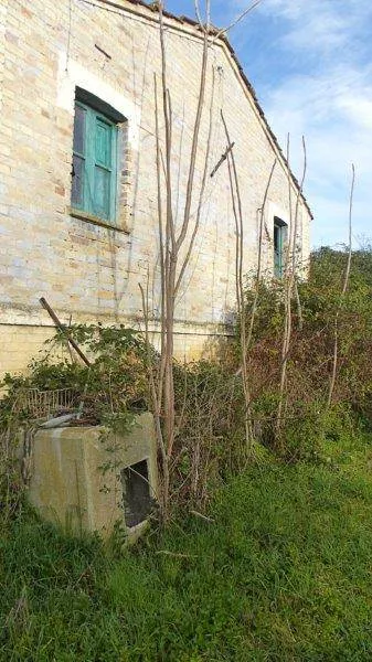 Rustico/Casale in vendita a Tortoreto - foto 7