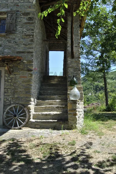 Rustico/Casale in vendita a Cartosio - foto 2