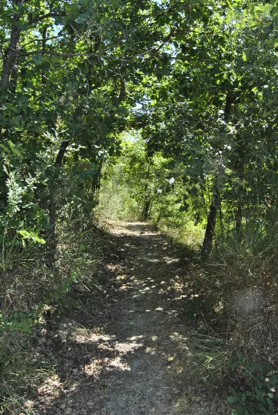 Rustico/Casale in vendita a Cartosio - foto 6