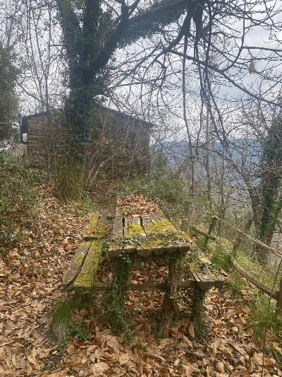 Rustico/Casale in vendita a Avegno - foto 3