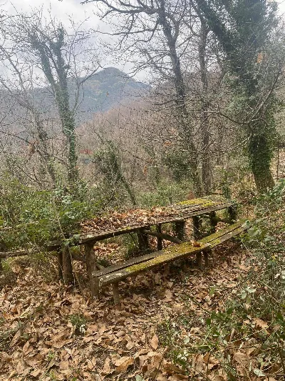 Rustico/Casale in vendita a Avegno - foto 7