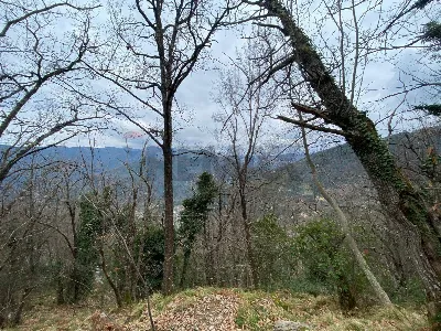 Rustico/Casale in vendita a Avegno - foto 8