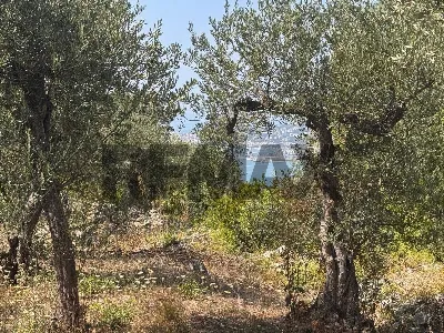 Rustico/Casale in vendita a Formia - foto 4