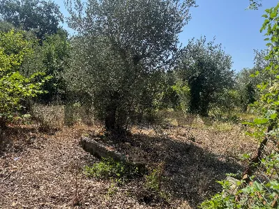 Rustico/Casale in vendita a Formia - foto 5