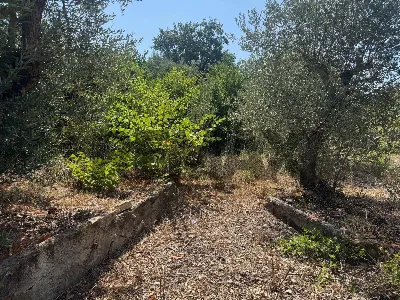 Rustico/Casale in vendita a Formia - foto 6