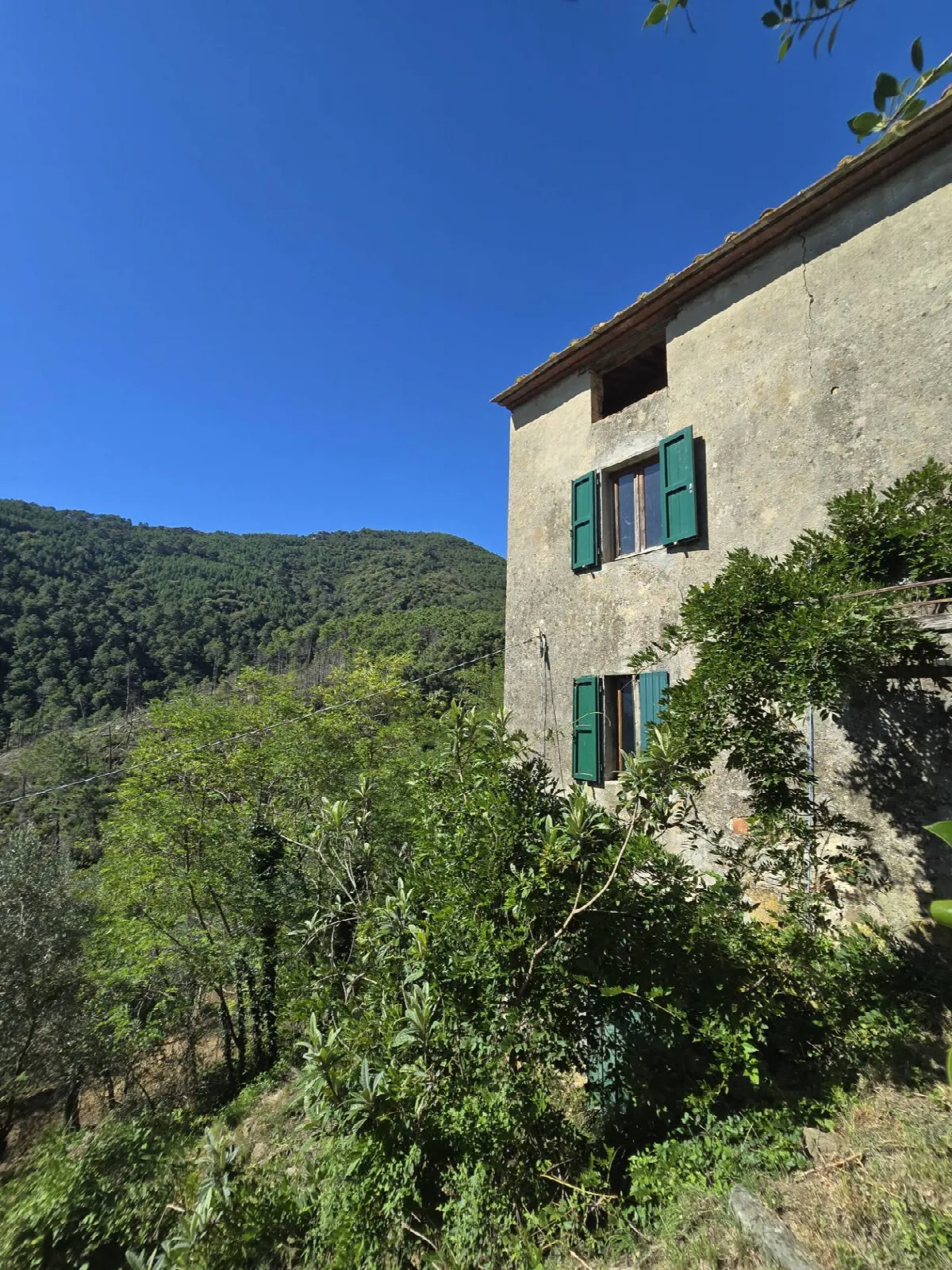 Rustico/Casale in vendita a Calci - foto 2