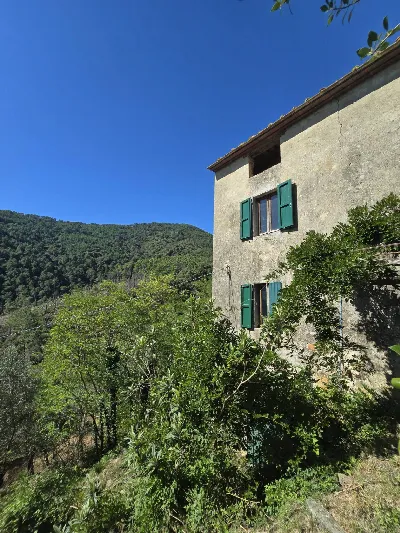 Rustico/Casale in vendita a Calci - foto 2
