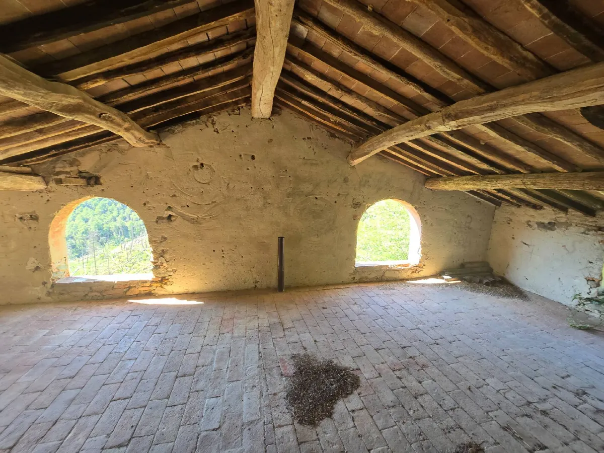 Rustico/Casale in vendita a Calci - foto 4