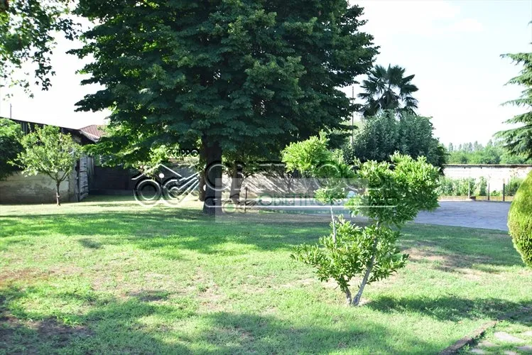 Villa in vendita a Cuggiono - foto 4