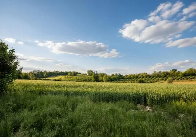 Rustico/Casale in vendita a San Damiano d'... - foto 10