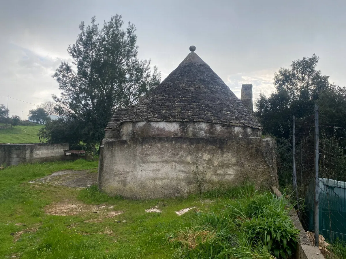 Rustico/Casale in vendita a Martina Franca - foto 2