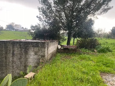 Rustico/Casale in vendita a Martina Franca - foto 4