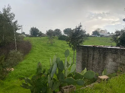 Rustico/Casale in vendita a Martina Franca - foto 5