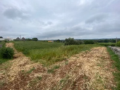 Rustico/Casale in vendita a Martina Franca - foto 10