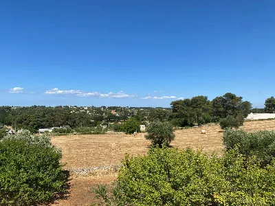 Rustico/Casale in vendita a Martina Franca - foto 5
