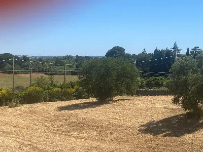 Rustico/Casale in vendita a Martina Franca - foto 6
