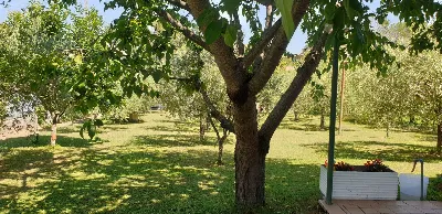 Villa in vendita a Venarotta - foto 2