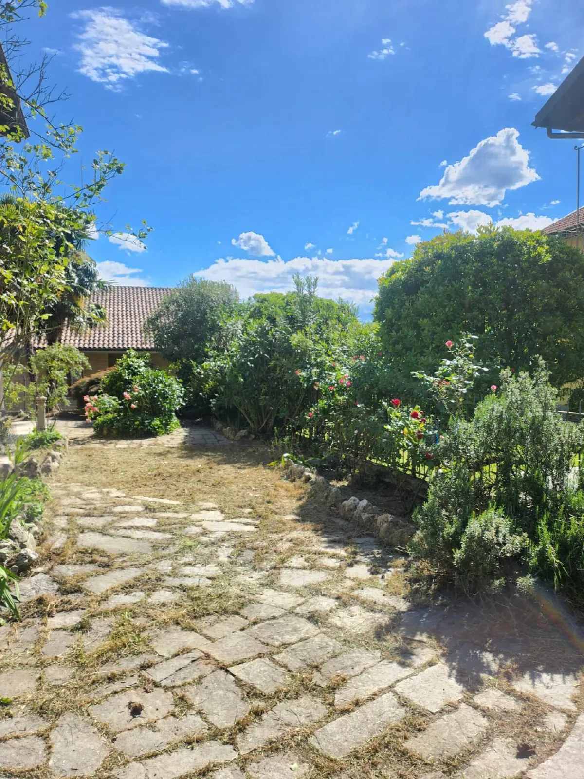 Villa in vendita ad Alpignano - foto 5