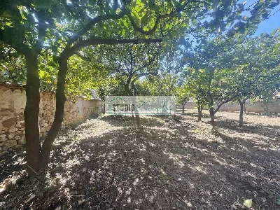 Casa Indipendente in vendita a Massa, Berg... - foto 7