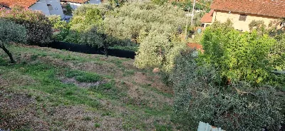 Villa in vendita a Massa - foto 6