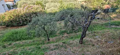 Villa in vendita a Massa - foto 7
