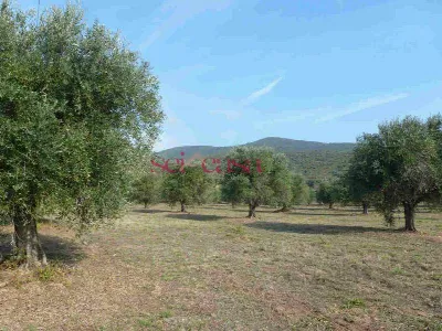 Rustico/Casale in vendita a Castiglione de... - foto 2