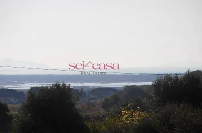 Rustico/Casale in vendita a Castiglione de... - foto 4
