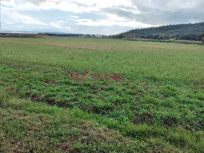 Rustico/Casale in vendita a Castiglione de... - foto 5