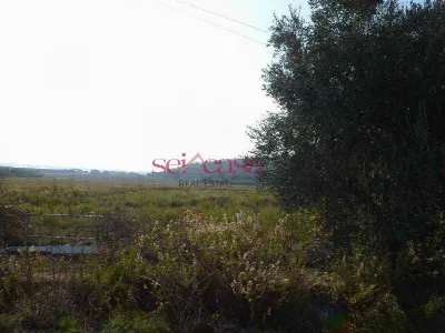 Rustico/Casale in vendita a Castiglione de... - foto 7