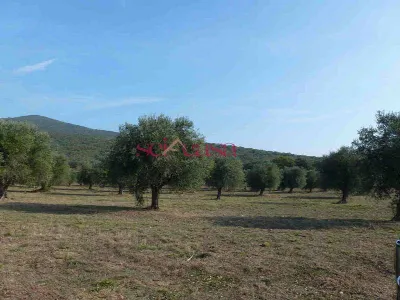 Rustico/Casale in vendita a Castiglione de... - foto 8