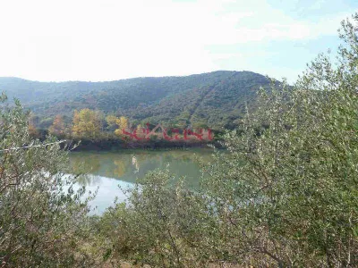 Rustico/Casale in vendita a Castiglione de... - foto 9