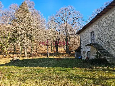 Rustico/Casale in vendita a Santa Fiora - foto 7
