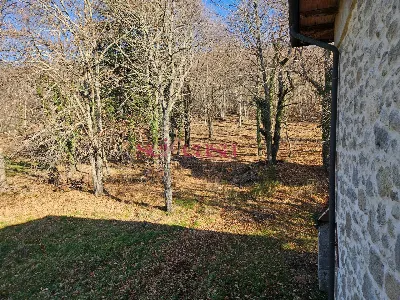Rustico/Casale in vendita a Santa Fiora - foto 8