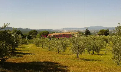Rustico/Casale in vendita a Roccastrada - foto 4