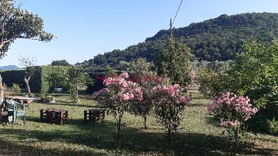Rustico/Casale in vendita a Roccastrada - foto 9