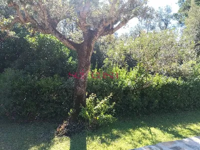 Villa in vendita a Castiglione della Pesca... - foto 6