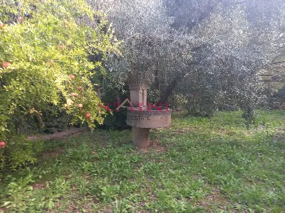 Casa Indipendente a Magliano in Toscana