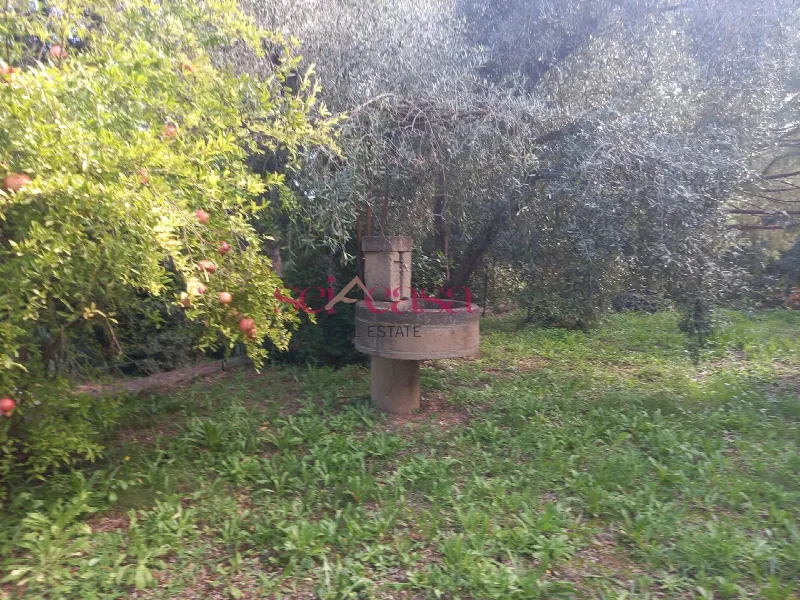 Casa Indipendente in vendita a Magliano in Toscana - foto 1