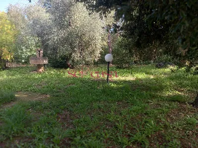 Casa Indipendente in vendita a Magliano in... - foto 8