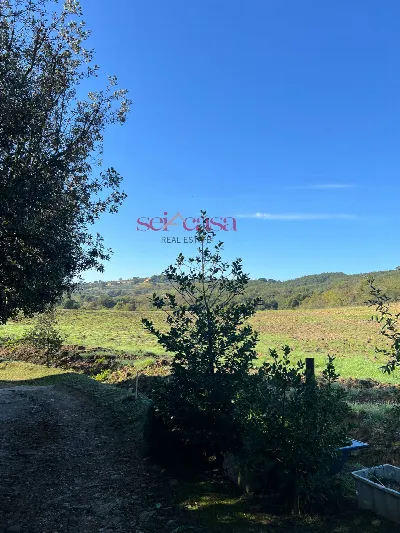 Rustico/Casale in vendita a Scansano - foto 10