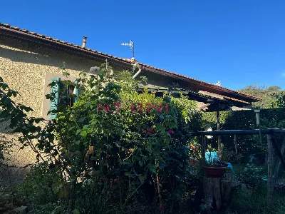 Rustico/Casale in vendita a Scansano - foto 3
