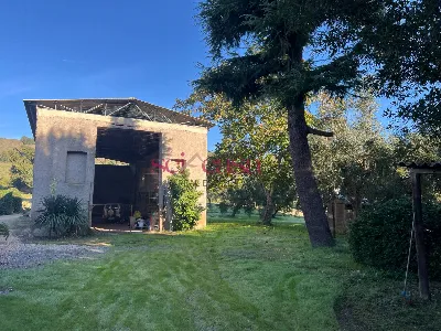 Rustico/Casale in vendita a Scansano - foto 6