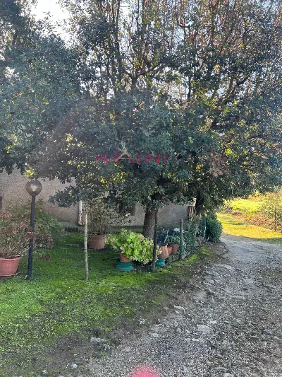 Rustico/Casale in vendita a Scansano - foto 9