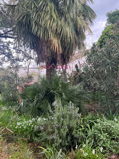 Rustico/Casale in vendita a Roccastrada - foto 3